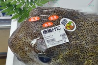 15000-240704.jpg