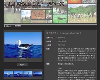 DB-180620.jpg