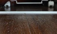 O_kona-241227.jpg