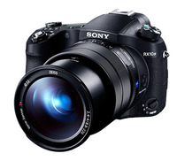 RX10-240907.jpg