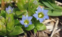 R_kokerin-240428.jpg