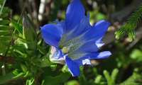 a_rind-231106.jpg