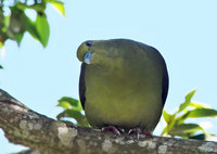 ab1-160417.jpg