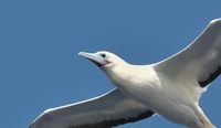 akaask2-241120.jpg