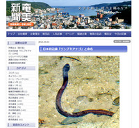 amami-140301.jpg