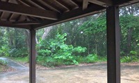 amayadori-250713.jpg