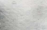 ame-230616.jpg