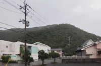 ame-241116.jpg