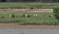 amsag-190722.jpg