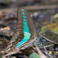 aosji-250720.jpg