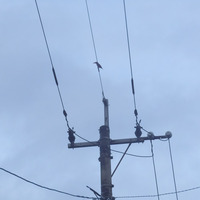 asa-250726.jpg