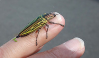 au3-201113.jpg