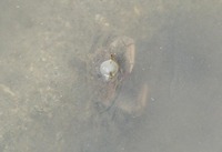 awa-210508.jpg