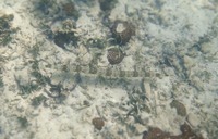 ay-171011.jpg
