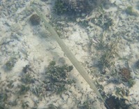 ay2-171011.jpg