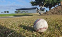 ball-250211.jpg