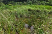 bioto-250719.jpg