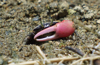 bs-140608.jpg
