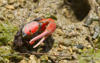 bsm-120527.jpg