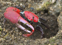 bsm-170407.jpg