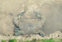 btg-190519.jpg