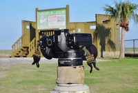 came-240906.jpg