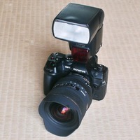 came-250416.jpg