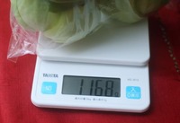 cngn-200120.jpg