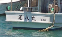 dai8-250323.jpg