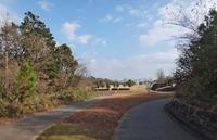 daibtsu-200103.jpg