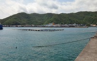 daikma-240501.jpg