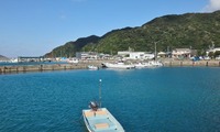 daikma-241227.jpg