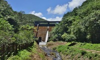 dam-250721.jpg