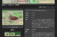 db-200407.jpg