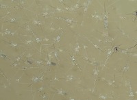 ebi-180713.jpg