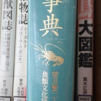 ebi-240712.jpg