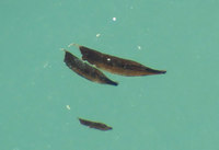 f3-150718.jpg