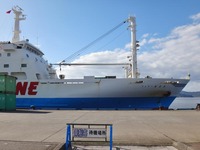f_amami-250130.jpg