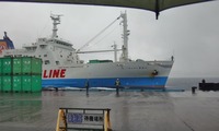 ff_kikai-240612.jpg