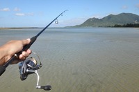 fishin-221128.jpg