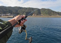 fishin-250227.jpg