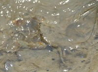 g3-180726.jpg