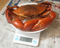 g_weight-180805.jpg
