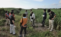 garaso-211006.jpg