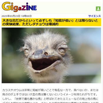 giga-250324.jpg