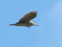 gs-120918.jpg