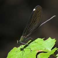 hagro-221001.jpg