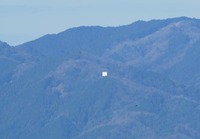 hansha-200102.jpg