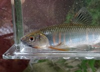haya_180718.jpg