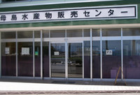 hh-kame-130601.jpg